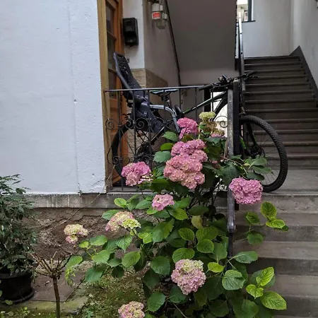 Monalisa Center Apartmán Kluž